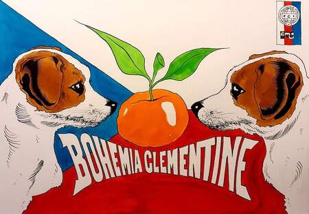 logo Bohemia Clementine JRT